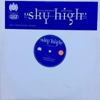 Voices Present Individual – Sky High Voices Presents Individual / Sky High (The Unreleased Mixes) (12