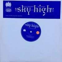 Voices Presents Individual / Sky High