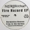Brian McDermott Fire Hazard EP 