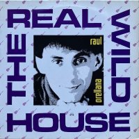 Raul Orellana / The Real Wild House
