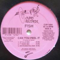 Fish / Can You Feel It