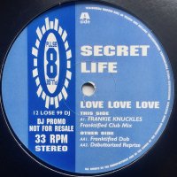 Secret Life / Love Love Love