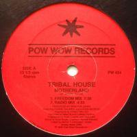 Tribal House / Motherland