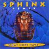 Sphinx / What Hope Have I