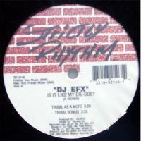 DJ EFX / Is It Like My Dil-Doe? c/w I Feel Da Magik