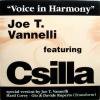 Joe T. Vannelli / Voice in Harmony