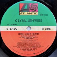 Ceybil Jeffries / Open Your Heart (12