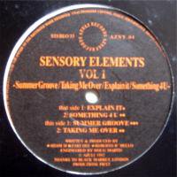 Sensory Elements / Vol. 1