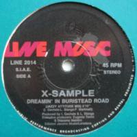 X-Sample / Dreamin' In Buristead Road
