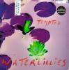 Waterlillies / Tempted