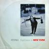 Sting / Englishman In New York