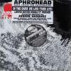 Aphrohead In The Dark We Live