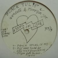 Black Tulip & Wendell A. Morrison Jnr. /  A Song Of Love