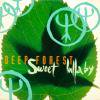 Deep Forest Sweet Lullaby