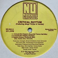 Critical Rhythm / It Could Not Happen