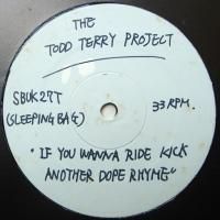 Todd Terry / If You Wanna Ride