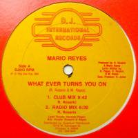 Mario Reyes / What Ever Turns You On