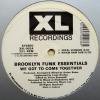 Brooklyn Funk Essentials We Got To Come Together