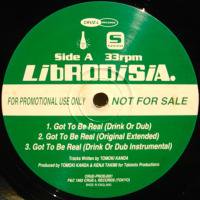 Librodisia & Love Tambourines / Promo Record