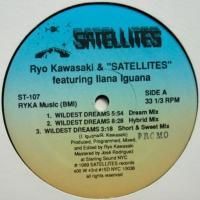 Ryo Kawasaki & Satellites Featuring Ilana Iguana / Wildest Dreams