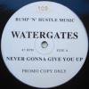 Watergates Never Gonna Give You Up