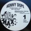 Kenny Dope / Brazilica