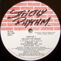 Chapter 1 / Unleash The Groove