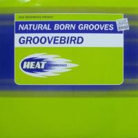 Natural Born Grooves / Groovebird