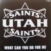 Utah Saints What Can You Do For Me