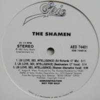 The Shamen / LSI