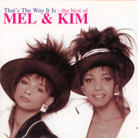 MEL & KIM / That's The Way It Is - The Best Of