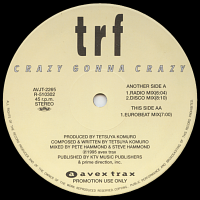 trf<br>- Crazy Gonna Crazy + Winter Grooves [2 x 12