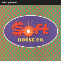 SOFT HOUSE COMPANY<br>- What You Need (c/w) A Little Piano