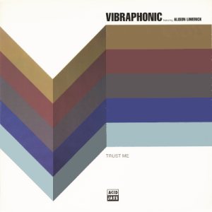 VIBRAPHONIC featuring ALISON LIMERICK - Trust Me