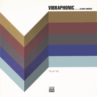 VIBRAPHONIC featuring ALISON LIMERICK<br>- Trust Me