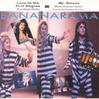 BANANARAMA<br>- Love In The 1st Degree -Eurobeat Style-