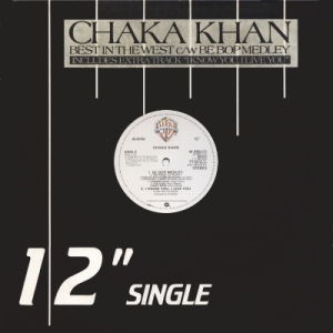 CHAKA KHAN - I Know You, I Live You<img class='new_mark_img2' src='https://img.shop-pro.jp/img/new/icons53.gif' style='border:none;display:inline;margin:0px;padding:0px;width:auto;' />