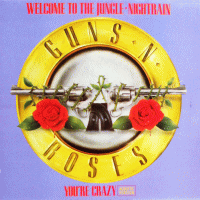 GUNS N ROSES/WELCOME TO THE JUNGLE CD DJ
