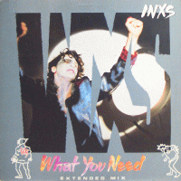 INXS - What You Need