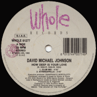 DAVID MICHAEL JOHNSON - How Deep Is Your Love