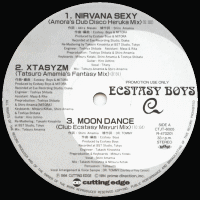 ECSTASY BOYS - Nirvana Sexy