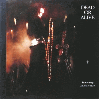 DEAD OR ALIVE - Something in My House