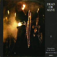 DEAD OR ALIVE<br>- Something In My House (Mortevicar Mix)