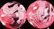 桜色天然水晶ビーズ龍彫り