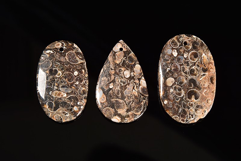 ☆化石製天然石ルース☆瑪瑙化した数千万年前の巻貝の化石