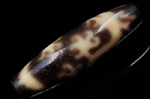 ŷۡڤǸŪʥǥͤιŷ1Ρڸζ/ζŷ38mm-22