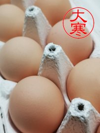 大寒たまご / ピンク卵30個・化粧箱 (送料込み)