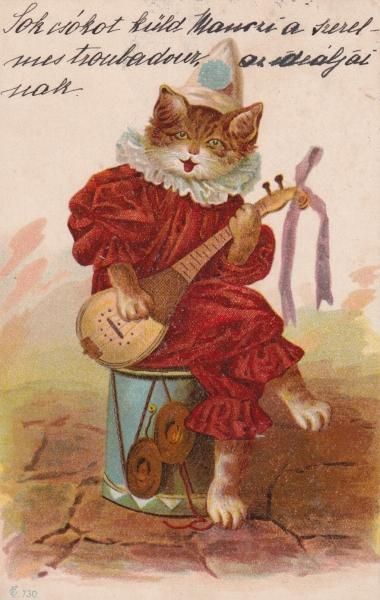 ピエロ猫 ピエロ猫