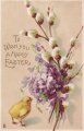 復活祭の雪柳とスミレの花