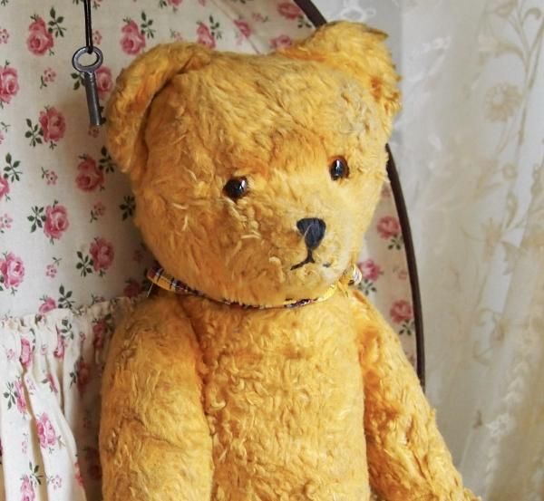 黄色のクマちゃん＊茶色目＊35cm - BLEU CURACAO FRANCE